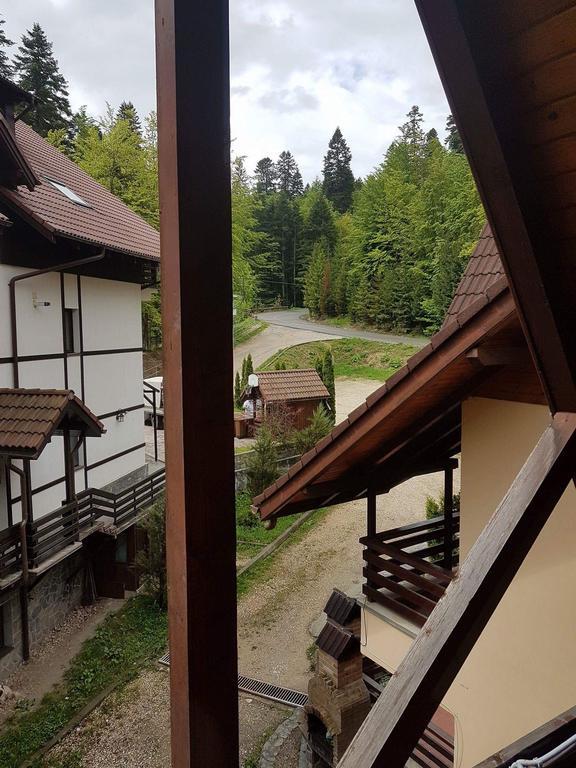 Vila Dani Sinaia Eksteriør billede